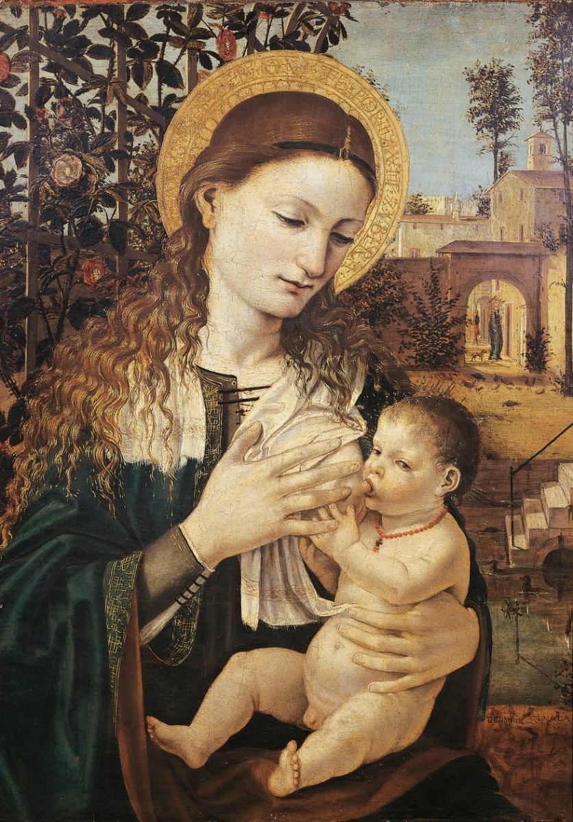 Ambrogio_da_Fossano_c1460-1523_-_Madonna_del_Latte_by_Ambrose_Bergognone_ca_1460-1523_-_MeisterDrucke-1422417