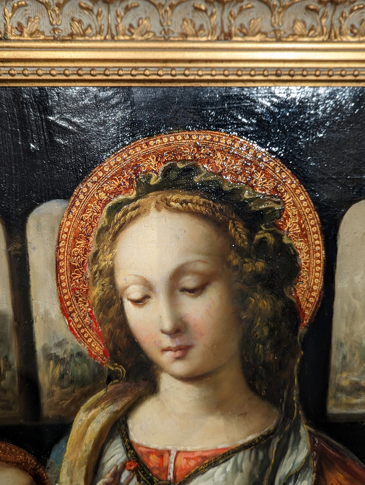 Leonardo da Vinci’s De Madonna met de Anjer