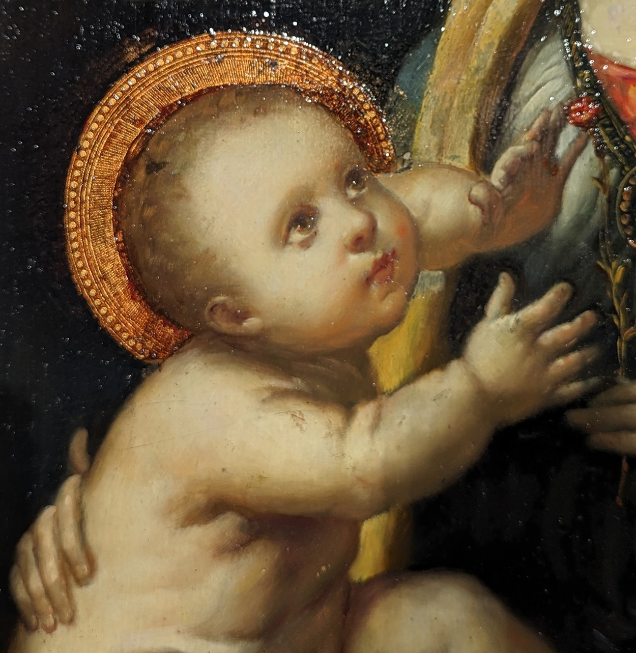 Leonardo da Vinci’s De Madonna met de Anjer