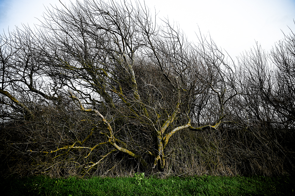 Volg de wind by Marjan Selleslags