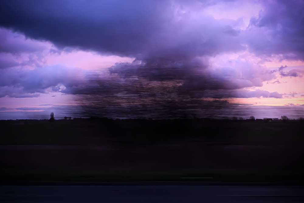 In volle vlucht by Marjan Selleslags